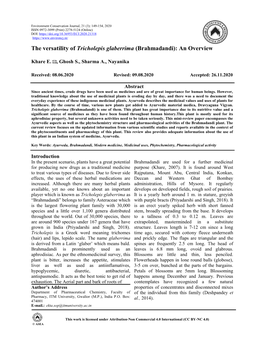 The Versatility of Tricholepis Glaberrima (Brahmadandi): an Overview