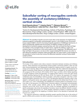 Subcellular Sorting of Neuregulins Controls the Assembly of Excitatory