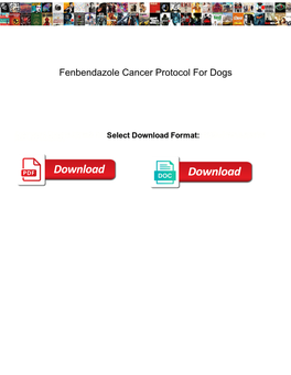 Fenbendazole Cancer Protocol for Dogs