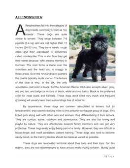 Affenpinscher