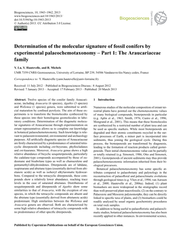 Determination of the Molecular Signature of Fossil Conifers By