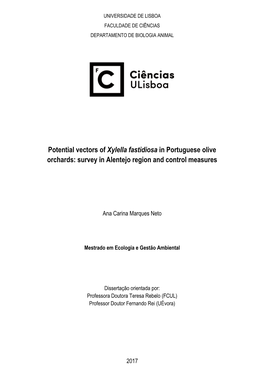 Potential Vectors of Xylella Fastidiosa in Portuguese Olive Orchards: Survey in Alentejo Region and Control Measures