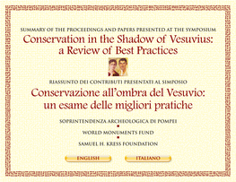 Conservation in the Shadow of Vesuvius: a Review of Best Practices Conservazione All'ombra Del Vesuvio: Un Esame Delle Miglio