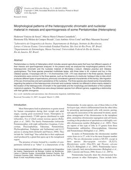 Morphological Patterns of the Heteropycnotic Chromatin and Nucleolar Material in Meiosis and Spermiogenesis of Some Pentatomidae (Heteroptera)