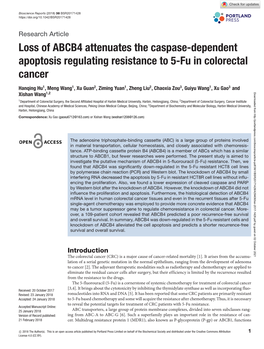 Loss of ABCB4 Attenuates the Caspase-Dependent Apoptosis Regulating Resistance to 5-Fu in Colorectal Cancer