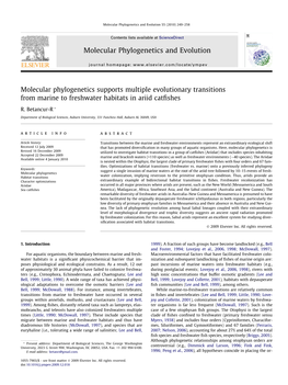 Molecular Phylogenetics and Evolution 55 (2010) 249–258