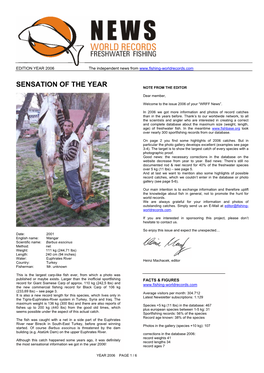 Sensation of the Year Note from the Editor