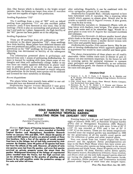 COLD DAMAGE to CYCADS and PALMS at FAIRCHILD TROPICAL GARDEN RESULTING from the JANUARY 1977 FREEZE Crafton Clift Freezing Began by 8:00 P.M