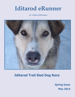 Iditarod Erunner