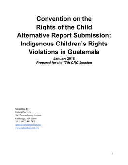 Indigenous Children's Rights Violations in Guatemala