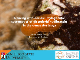 Phylogenetic Systematics of Discodorid Nudibranchs in the Genus Rostanga