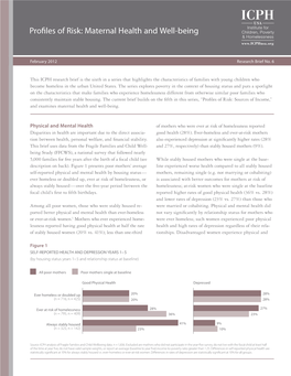 Profiles of Risk: Maternal Health and Well-Being