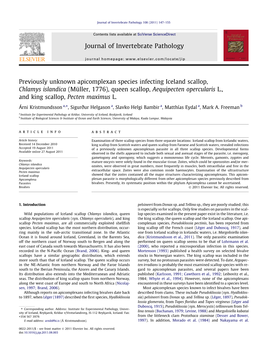 Previously Unknown Apicomplexan Species Infecting Iceland Scallop, Chlamys Islandica