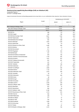 Beschäftigungsstatistik Sozialversicherungspflichtig