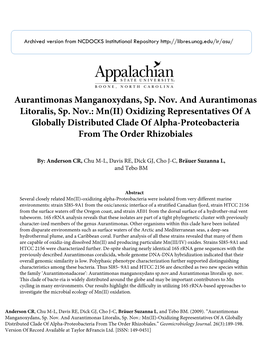 Mn(II) Oxidizing Representatives of a Globally Distributed Clade of Alpha-Proteobacteria from the Order Rhizobiales