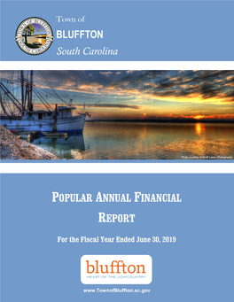 Most Recent Item 2019 Popular Annual Financial Report