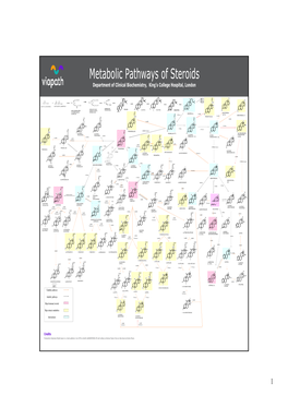 Metabolic Pathways of Steroids Department of Clinical Biochemistry, King’S College Hospital, London