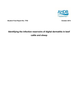 Identifying the Infection Reservoirs of Digital Dermatitis in Beef Cattle and Sheep