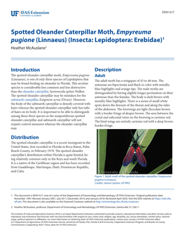 Spotted Oleander Caterpillar Moth, Empyreuma Pugione (Linnaeus) (Insecta: Lepidoptera: Erebidae)1 Heather Mcauslane2