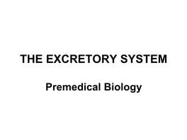 The Excretory System