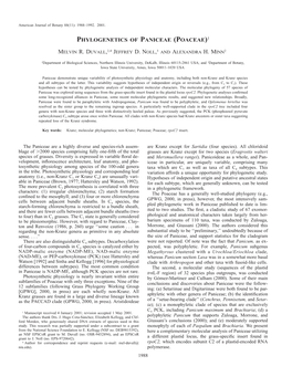 Phylogenetics of Paniceae (Poaceae)1