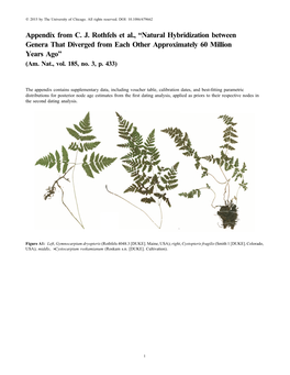 Appendix from C. J. Rothfels Et Al., “Natural Hybridization Between Genera That Diverged from Each Other Approximately 60 Million Years Ago” (Am