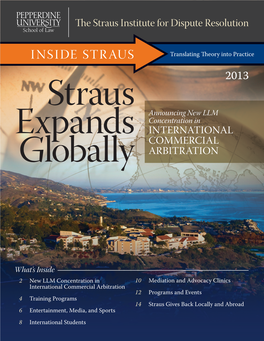 INSIDE STRAUS Translating Theory Into Practice 2013