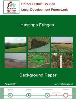 Hastings Fringes Background Paper