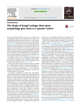 The Shape of Fungal Ecology: Does Spore Morphology Give Clues to a Species’ Niche?