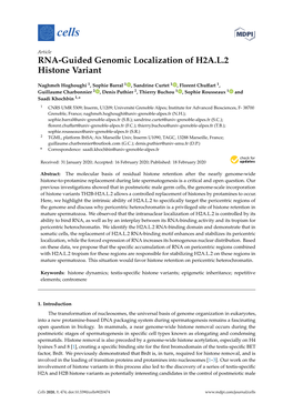 RNA-Guided Genomic Localization of H2A.L.2 Histone Variant