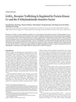 GABAA Receptor Trafficking Is Regulated by Protein Kinase C And