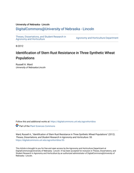 Identification of Stem Rust Resistance in Three Synthetic Wheat Populations