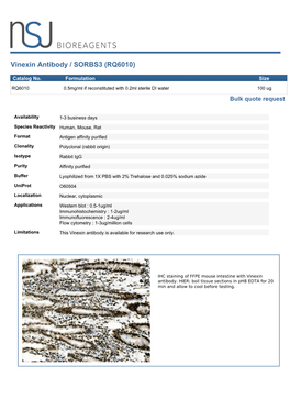 Vinexin Antibody / SORBS3 (RQ6010)