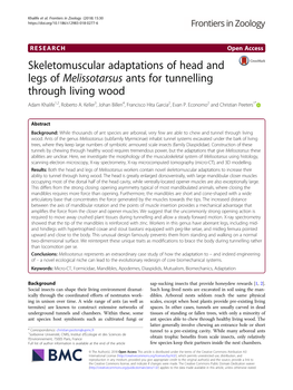 Skeletomuscular Adaptations of Head and Legs of Melissotarsus Ants For