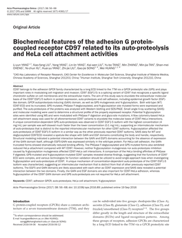 Biochemical Features of the Adhesion G Protein-Coupled Receptor CD97 Related to Its Auto-Proteolysis and Hela Cell Attachment Ac