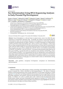 Sex Determination Using RNA-Sequencing Analyses in Early Prenatal Pig Development