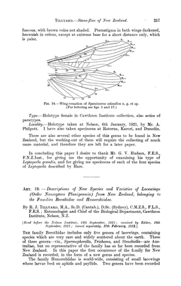 ART. 19. -Descriptions of New Species and Varieties of Lacewings