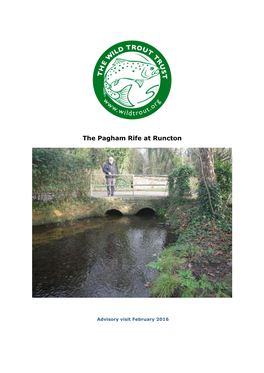 The Pagham Rife at Runcton