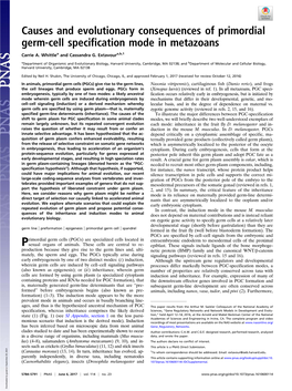 Causes and Evolutionary Consequences of Primordial Germ-Cell Specification Mode in Metazoans