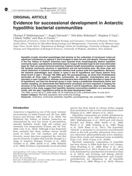 Evidence for Successional Development in Antarctic Hypolithic Bacterial Communities
