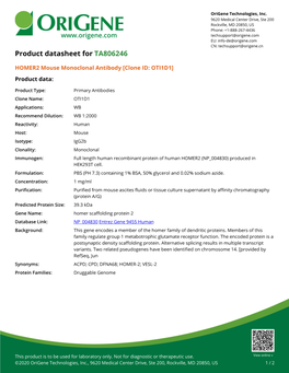 HOMER2 Mouse Monoclonal Antibody [Clone ID: OTI1D1] Product Data