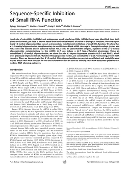 Sequence-Specific Inhibition of Small RNA Function