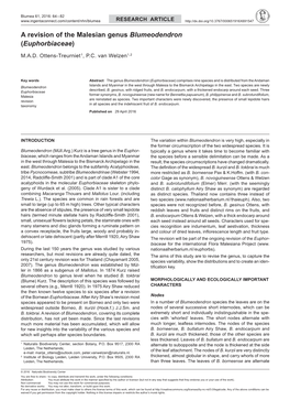 A Revision of the Malesian Genus Blumeodendron (Euphorbiaceae)