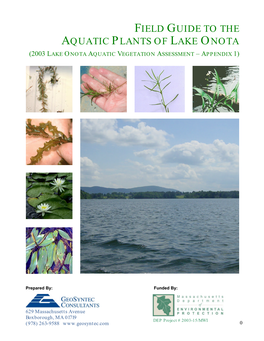 Field Guide to the Aquatic Plants of Lake Onota (2003 Lake Onota Aquatic Vegetation Assessment – Appendix 1)