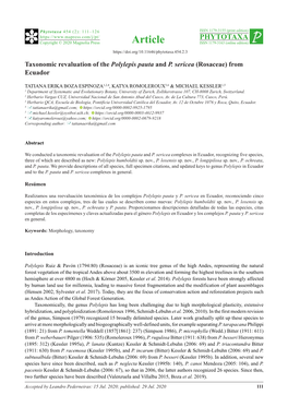 Taxonomic Revaluation of the Polylepis Pauta and P. Sericea (Rosaceae) from Ecuador