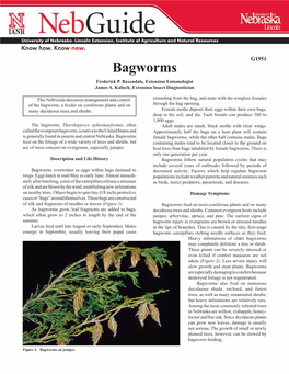 Bagworms Frederick P