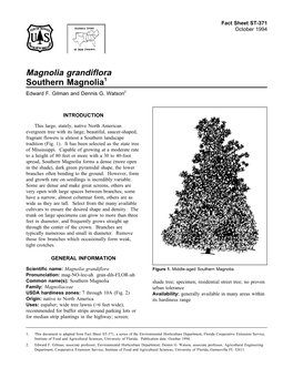 Southern Magnolia1 Edward F