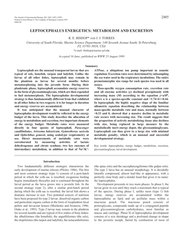 Leptocephalus Energetics: Metabolism and Excretion