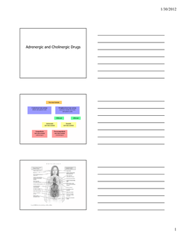Adrenergic and Cholinergic Drugs