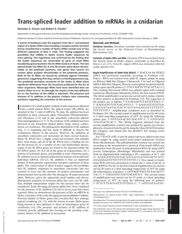 Trans-Spliced Leader Addition to Mrnas in a Cnidarian